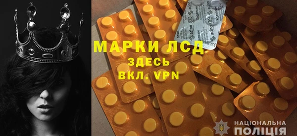 ПСИЛОЦИБИНОВЫЕ ГРИБЫ Краснослободск