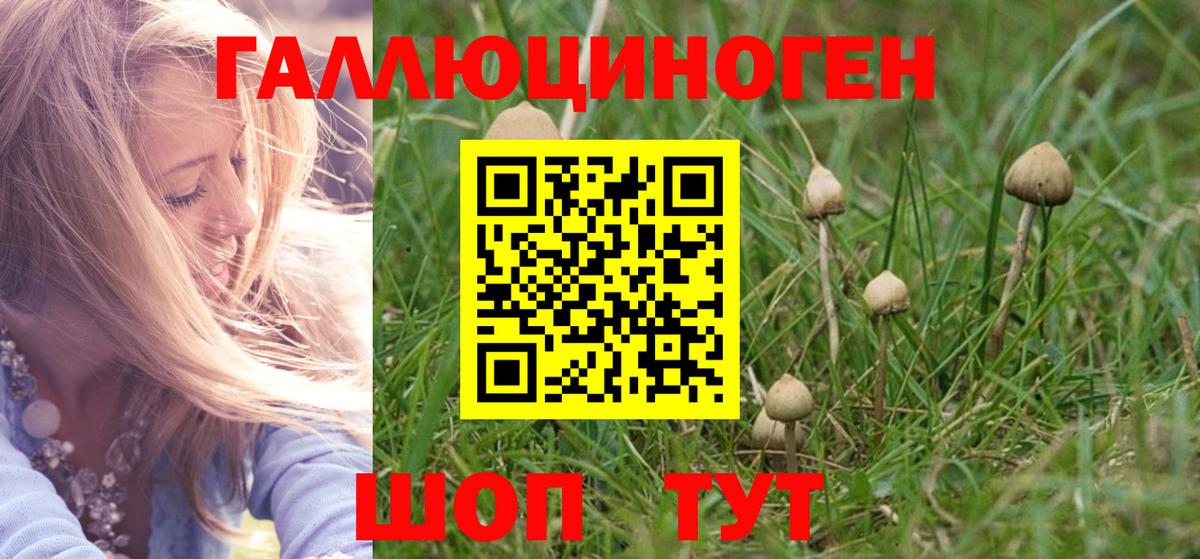 Бор  Галлюциногенные грибы Psilocybe  Галлюциногенные грибы ЛСД  где найти   Вход с VPN 